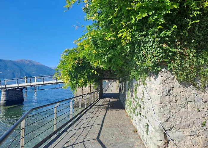 Il Gatto E La Volpe Foresteria Lombarda