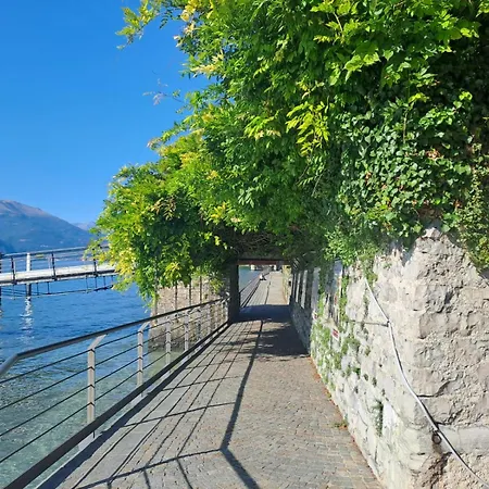 Il Gatto E La Volpe Foresteria Lombarda